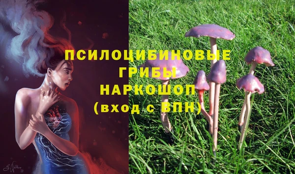 винт Надым