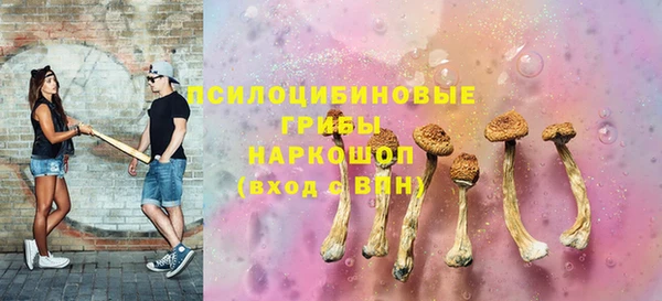 винт Надым